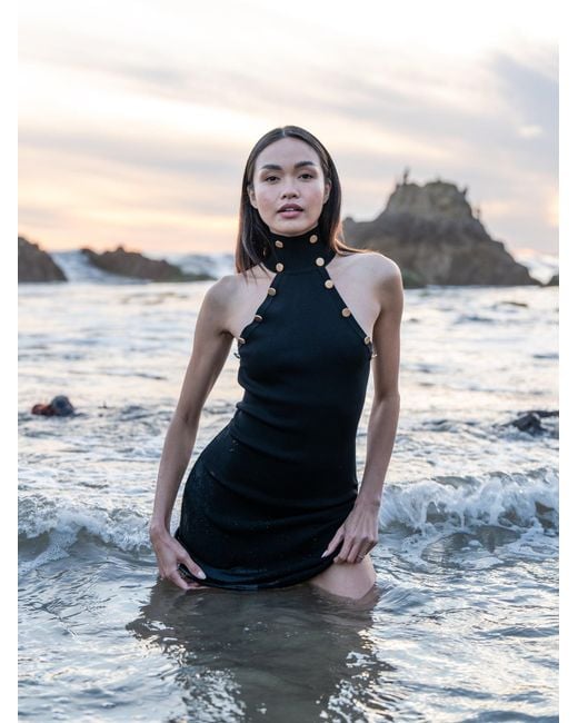 Catnip and Seaweed Blue The Little Midi Dress