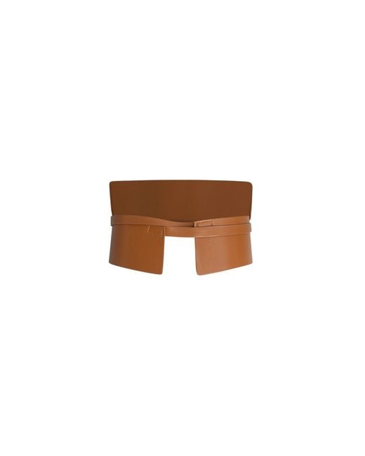 Circular Path Brown X Amanda Murray