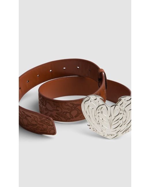 PREVU Brown Regan Belt