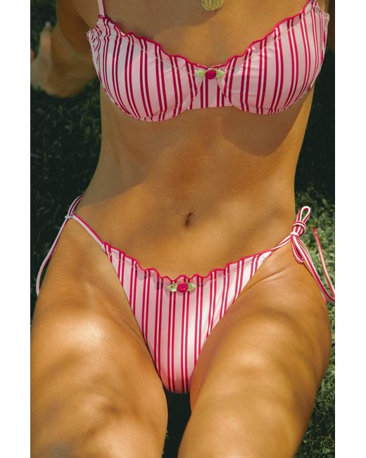 Wild Lovers Pink Dolly Daze Bikini Top
