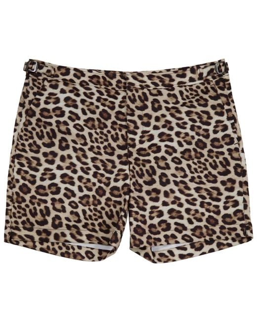 Lords of Harlech Black Pool Leopard Tailored Swim Short for men
