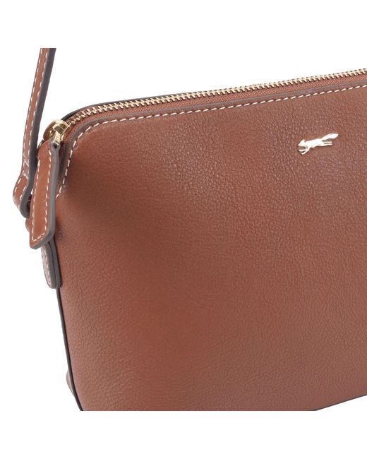 Paul Costelloe Brown Lenya Leather Crossbody Bag