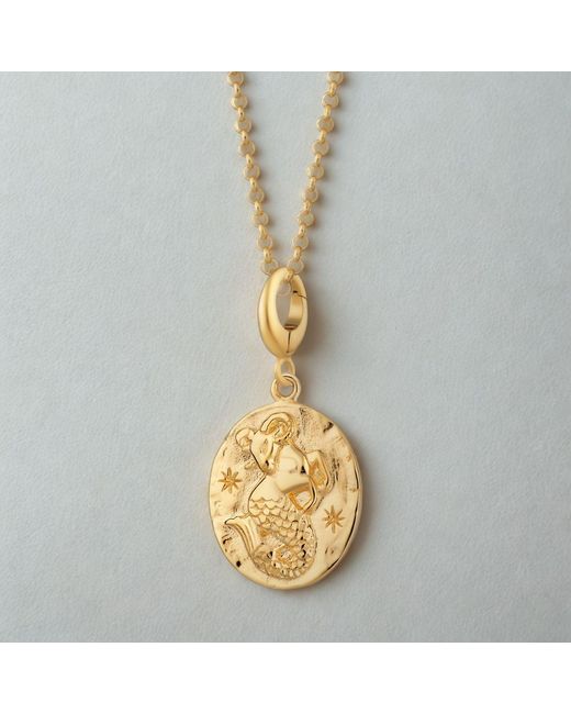 Lily Charmed Metallic Plated Capricorn Zodiac Charm Necklace