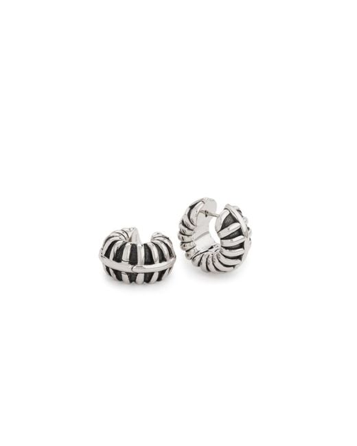 Stone Fruit White Barrel Hoops