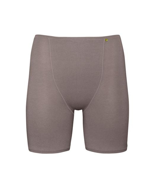 Zd - Zero Defects Gray Galatea Short-Leg Panties – Comfort & Thigh Protection With Soy Fiber