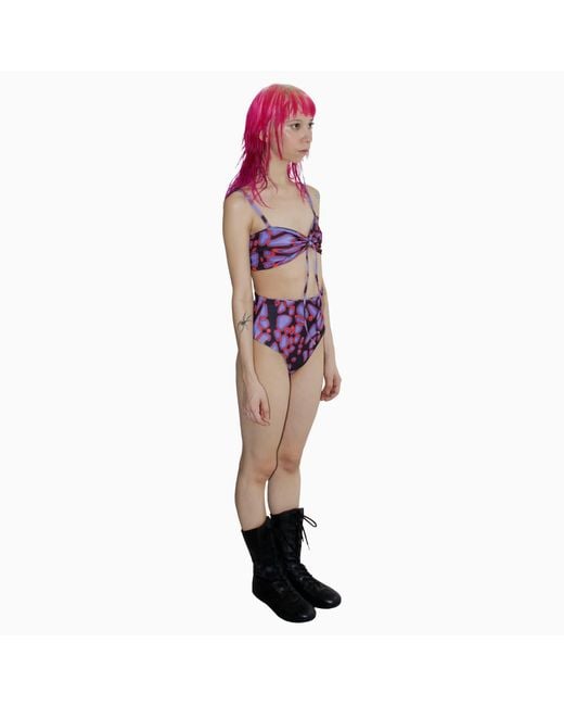 Paloma Lira Purple Web Armor Tender