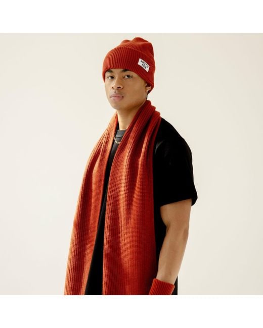 Arctic Fox & Co. Red Recycled Bottle Beanie