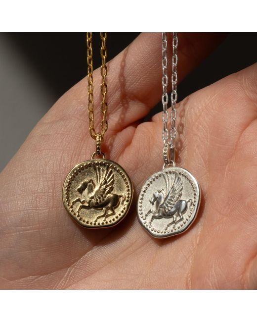 Dower & Hall Metallic Pegasus Overcome And Thrive Talisman Necklace In