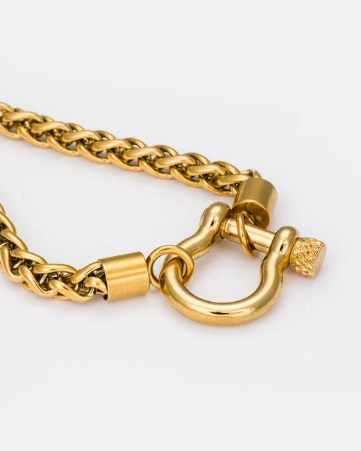 Kybele Studio Metallic Copenhagen Chain Necklace