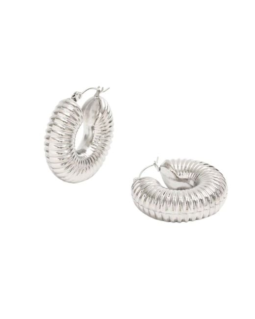 Bermuda Watch Company Metallic Annie Apple Lilia Chubby Hoop Ridge Earrings