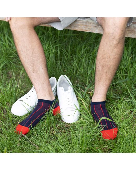 Peper Harow - Made in England Gray Pin Stripe & Luxury Crew & Trainer Socks Bundle for men