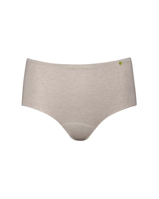 Zd - Zero Defects Gray Neutrals Atenea High-Waist Brief – Stylisht Fit & Comfort With Soy Fiber