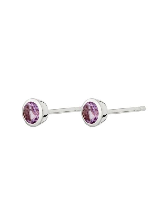 Lily Charmed Purple February Birthstone Earrings