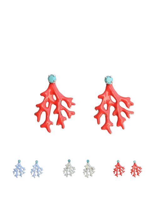 The Pink Reef Blue Mini Coral Earring In Pearl