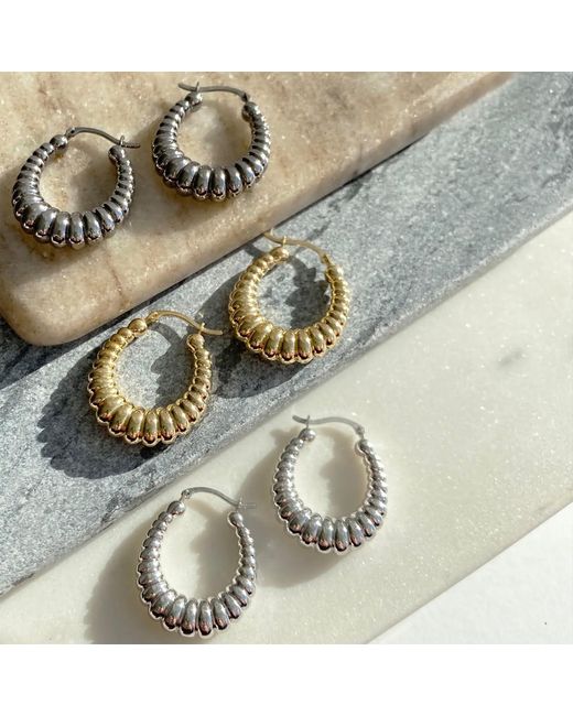 Gold & Honey Black Scalloped Hoops