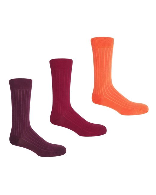 Peper Harow - Made in England Pink Three Pack Essential Socks for men