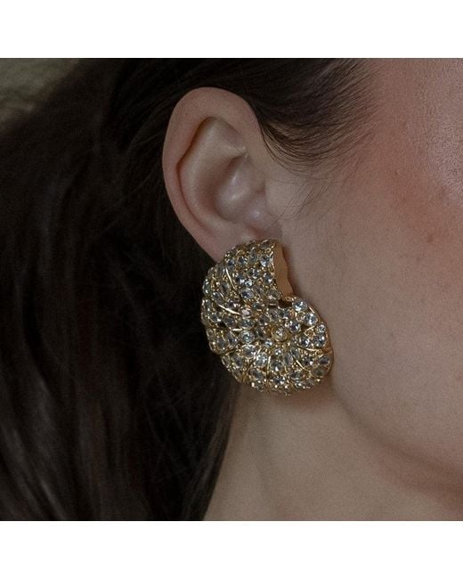 Zepplin the Label Metallic Nautilus Earrings