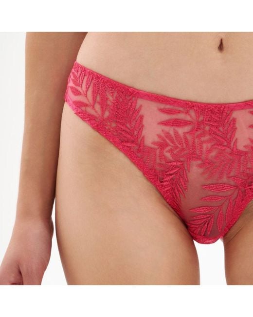 Daily Underwear Red Classic Brazilian Panties Flamingo