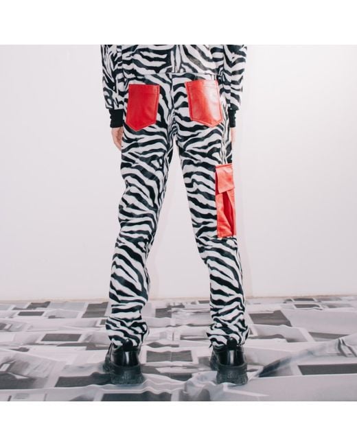 Paloma Lira Multicolor Zebra Pants