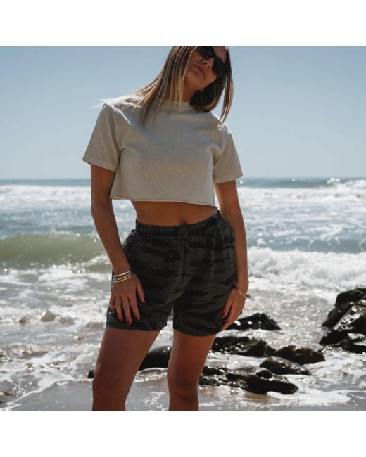 Ariko Gray Sandstone Beach Crop Tee