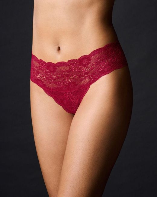 Journelle Red Sapna Hipster Claret