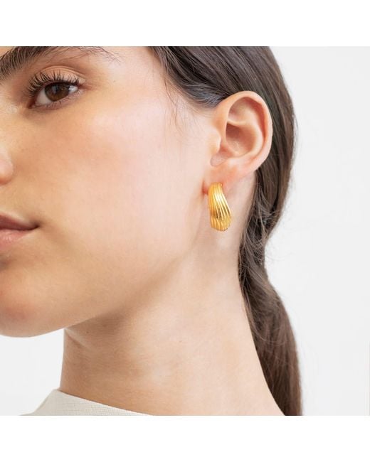 Joidart Metallic Golden Hoop Earrings Onaria