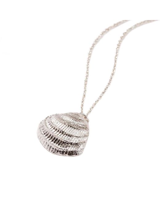 Posh Totty Designs White Sterling Clam Shell Necklace