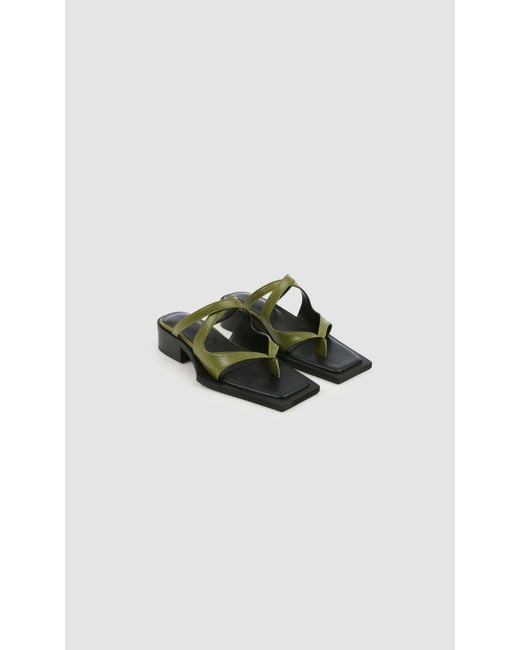 PREVU Green Karel Mule