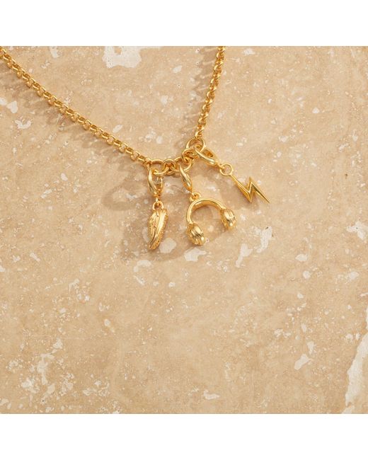 Lily Charmed Metallic Plated Trinity Charm Collector Necklace