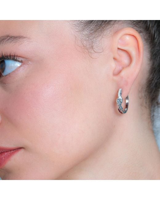 Onia Metallic Veil Hoops
