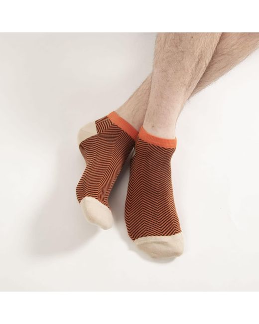 Peper Harow - Made in England Blue Lux Taylor Trainer Socks Bundle – Sky for men