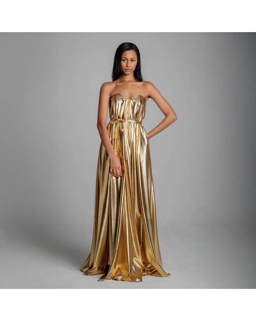 Imaatu Metallic Quiet Glam Maxi Gown – Corseted Premium Faux Leather & Hidden Pockets