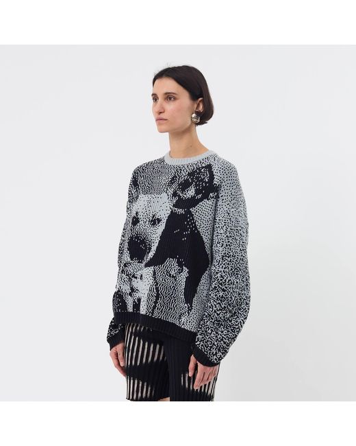 Ccy Currency Black Dog's Love Sweater