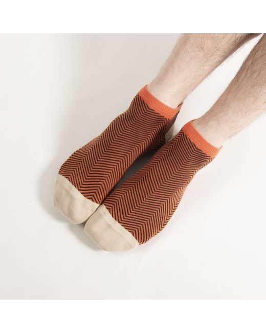 Peper Harow - Made in England Blue Lux Taylor Trainer Socks Bundle – Sky for men