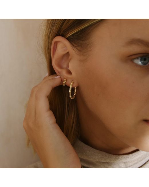 Janus Edinburgh Metallic Plated Sterling Textured Macdui Hoop Earrings