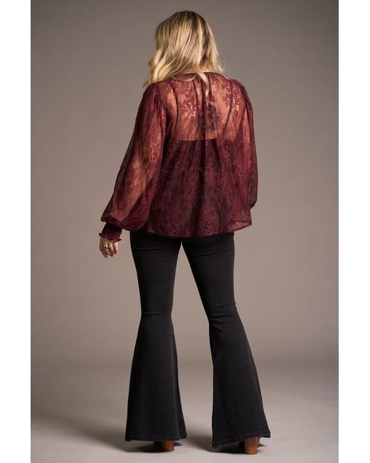 Little Lies Red Rhiannon Burgundy Lace Smock Top