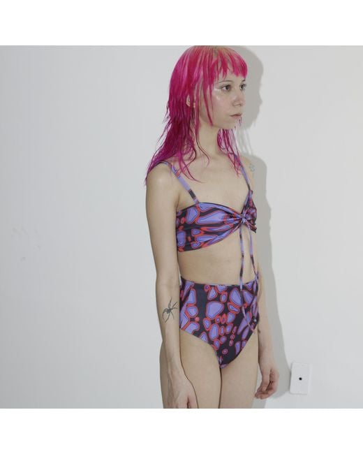 Paloma Lira Purple Web Armor Tender