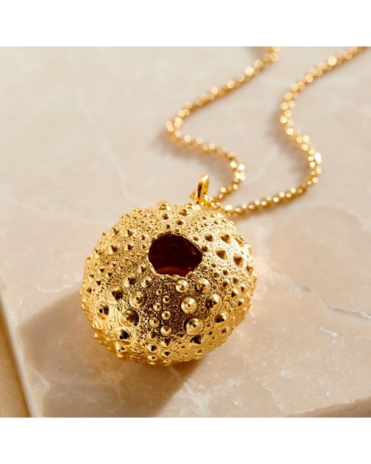 Posh Totty Designs Metallic Sea Urchin Necklace for men