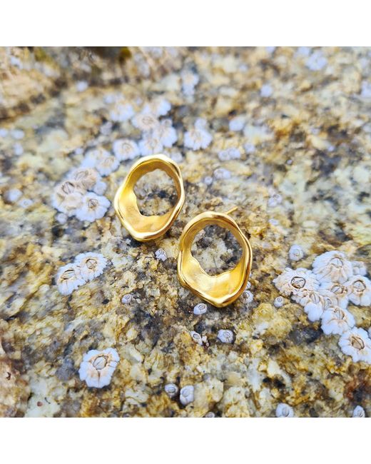 Janus Edinburgh Metallic Findhorn Vermeil Sterling Textured Circle Whirlpool Earrings