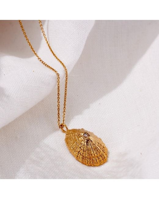 Posh Totty Designs Metallic Plated Limpet Shell Necklace