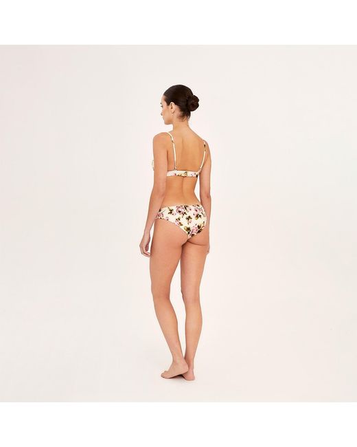 Aguaclara Pink Fixed Triangule Top & Classic Bottom La Rose