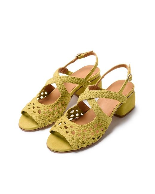 Naguisa Yellow Uga Rounded Pistachio