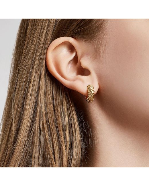 Didier Dubot Metallic Sensuelle Raw-Plated Hoop Earrings