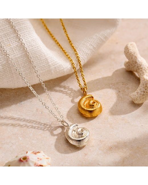 Posh Totty Designs Metallic Sterling Mini Nautilus Shell Necklace