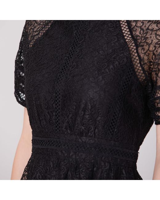 Smart and Joy Black All-Lace Flared Dress And Trims