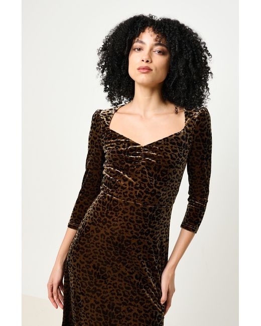 Louche Black Neutrals Ambrose Velvet Roar Midi Dress