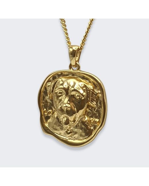 Frenvyrn Metallic Lars Dog Coin Necklace, Vermeil for men