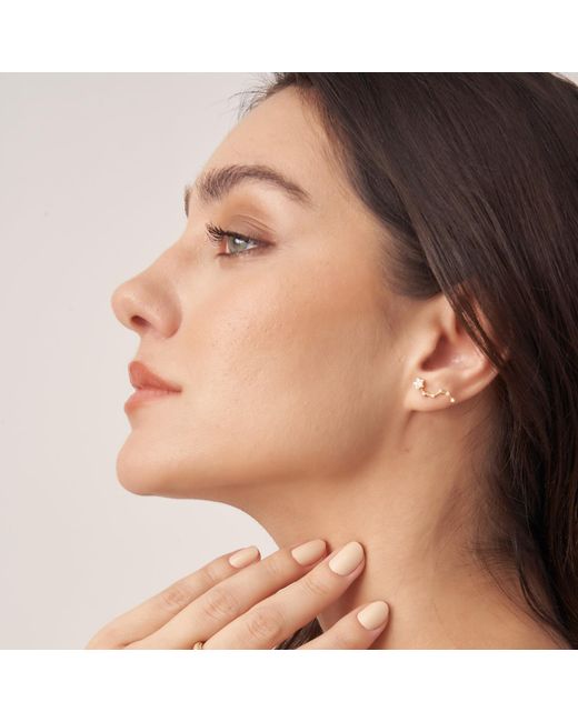 Shabella Nyc Metallic Constellation Earring