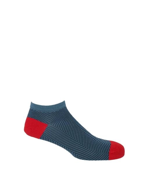 Peper Harow - Made in England Blue Trainer Socks Bundle – Seven Pairs Lux Taylor for men