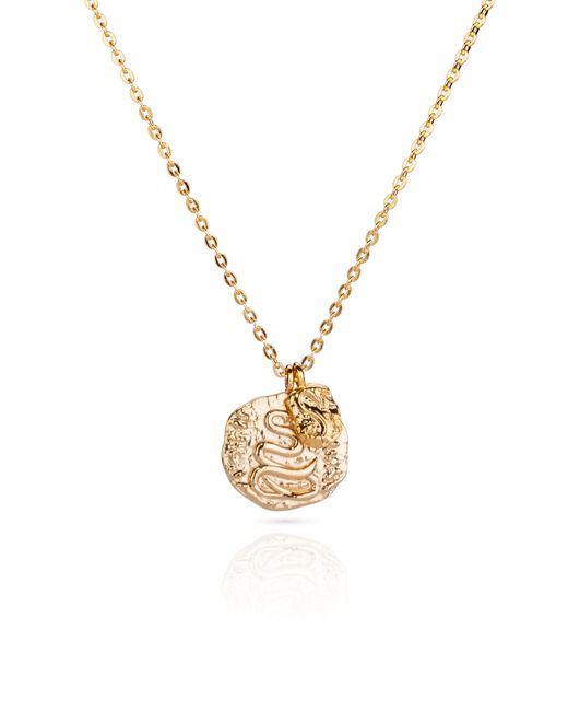 Aaria London Metallic Snake Coin Necklace